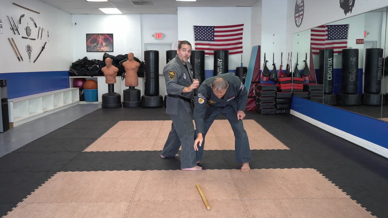 Evading the Storm - Principles, Theories, Rules, Concepts, Ideas, and Strategies