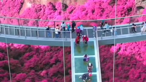 Beautiful Viewing