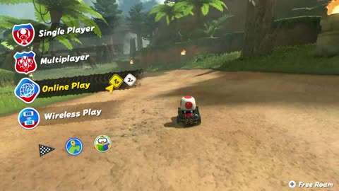 Nintendo Switch 2 Online Play