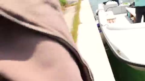Attacked by a Giant Anaconda in the Jungle!"