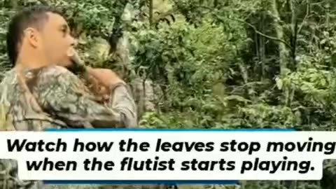 Nature is amazing