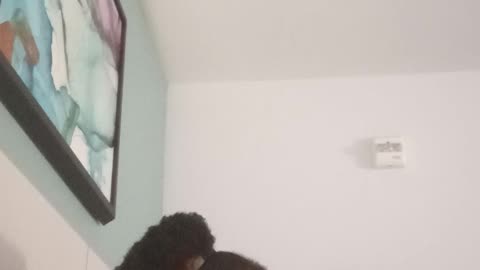 5/23/2025 new and dif location yet again 🤦🏾‍♀️
