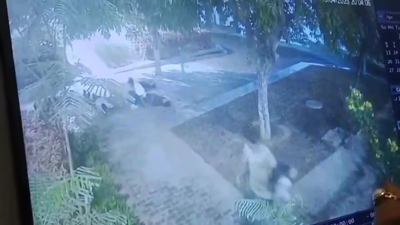 A lightning strike sent five students crashing to the ground