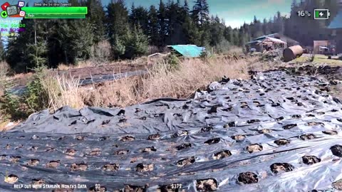 Tribe cant be Stopped MEGA GARDEN NEW GREENHOUSE BUILD W/ PLANTS IN FARMSTEAD REMOTE Isolated ALASKAN Village | !Real !Homestead
