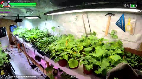 Tribe cant be Stopped MEGA GARDEN NEW GREENHOUSE BUILD W/ PLANTS IN FARMSTEAD REMOTE Isolated ALASKAN Village | !Real !Homestead