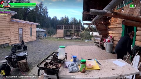 Tribe cant be Stopped MEGA GARDEN NEW GREENHOUSE BUILD W/ PLANTS IN FARMSTEAD REMOTE Isolated ALASKAN Village | !Real !Homestead