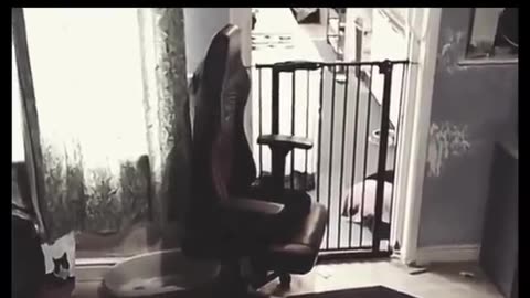 😨💥 Poltergeist Activity Caught on Camera! | TheHauntingHour