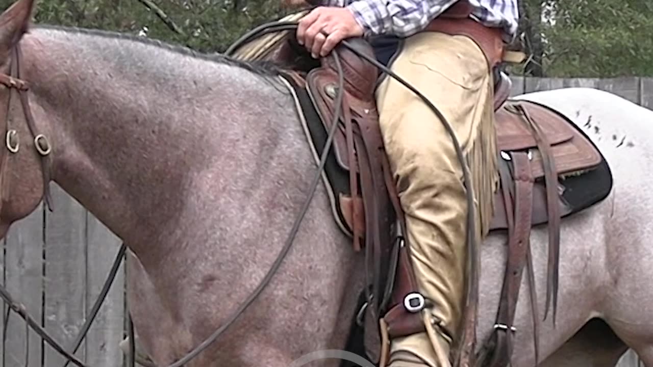 The goal is to have a broke horse no matter the discipline.