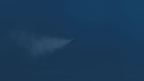 Nuclear Shower