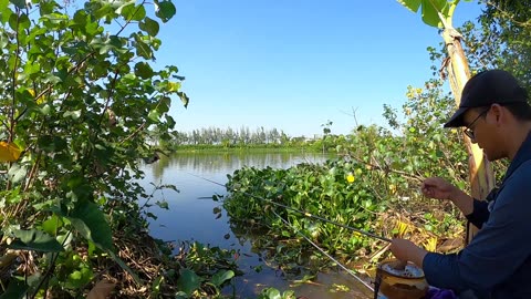 Morgenstille am Fluss Angeln pur #Morgenangeln #Süßwasser #Outdoor