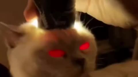Anime Eyes