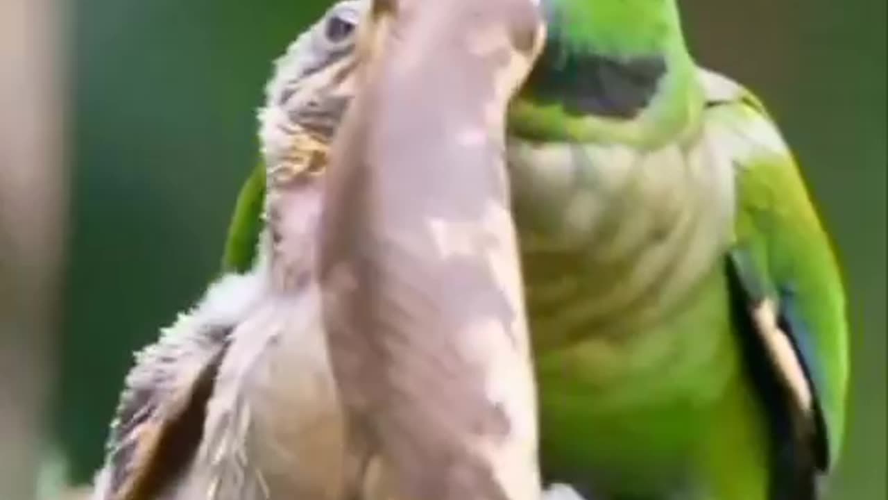 Mother is brave