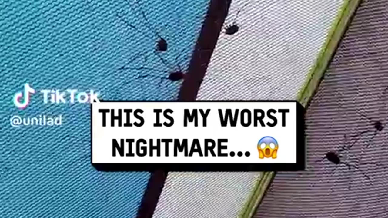 😂🤔 You Won't Believe Why Everyone Likes This AC! | FunFM