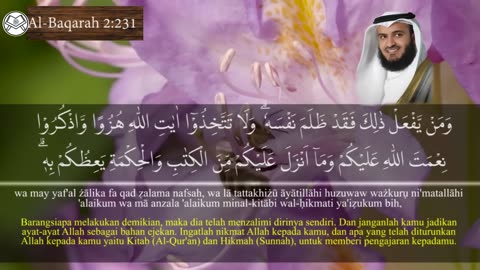 سورة البقرة للقارئ مشاري العفاسي | Surah Al-Baqarah Mishary Rashed Alafasy 2003