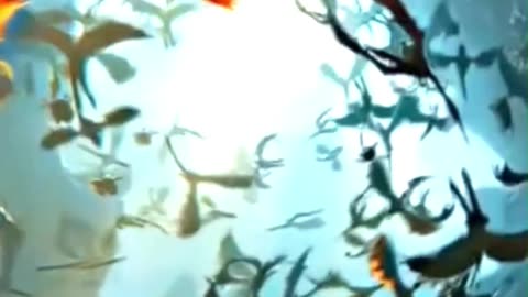 This Hollywood Scene Is Pure #Shorts #HollywoodMovies #MovieScene #usa