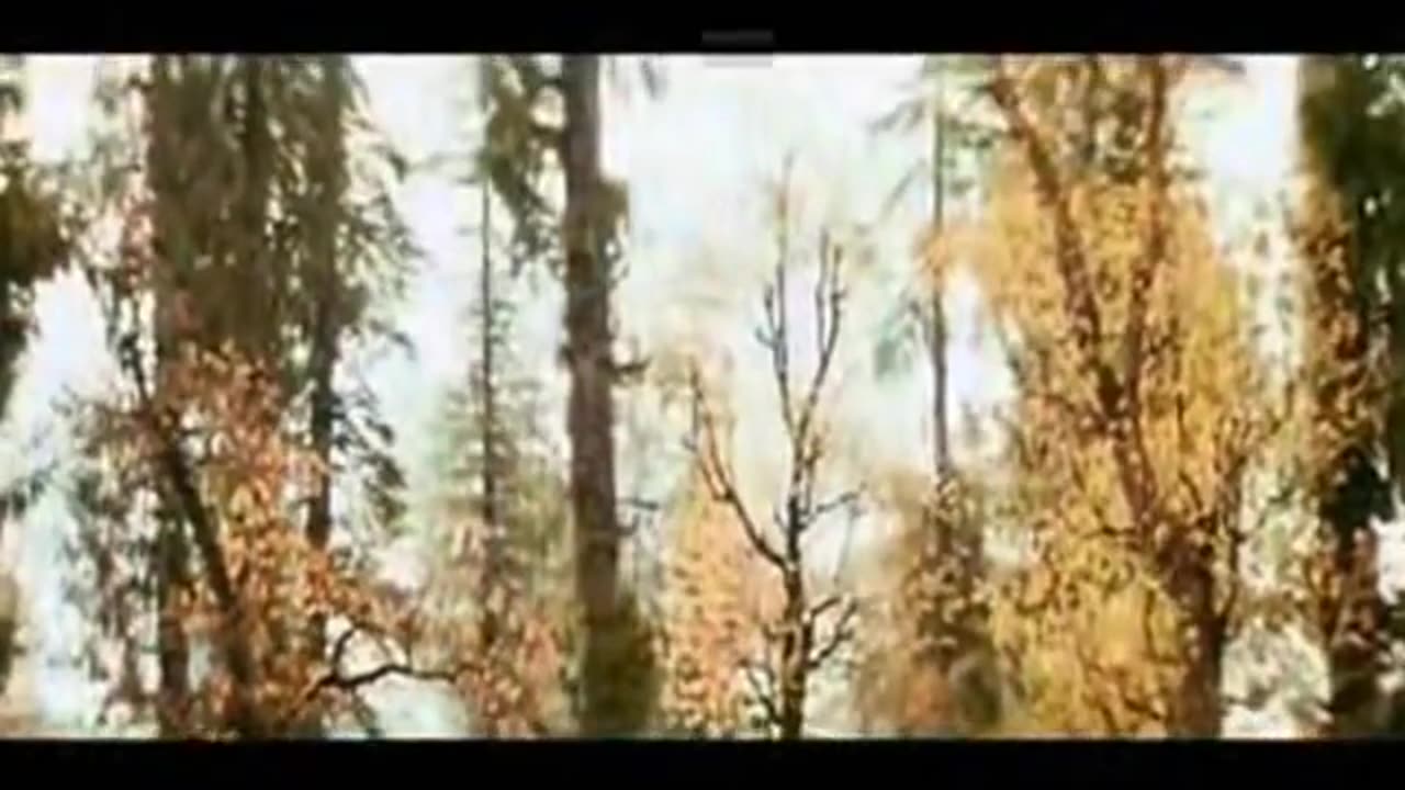Yeh Haseen Vadiyan