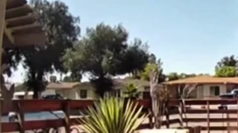 😂🤯 Missionary Work Fail You Have to See! | FunFM