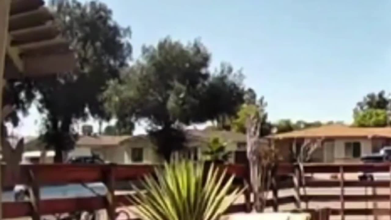 😂🤯 Missionary Work Fail You Have to See! | FunFM