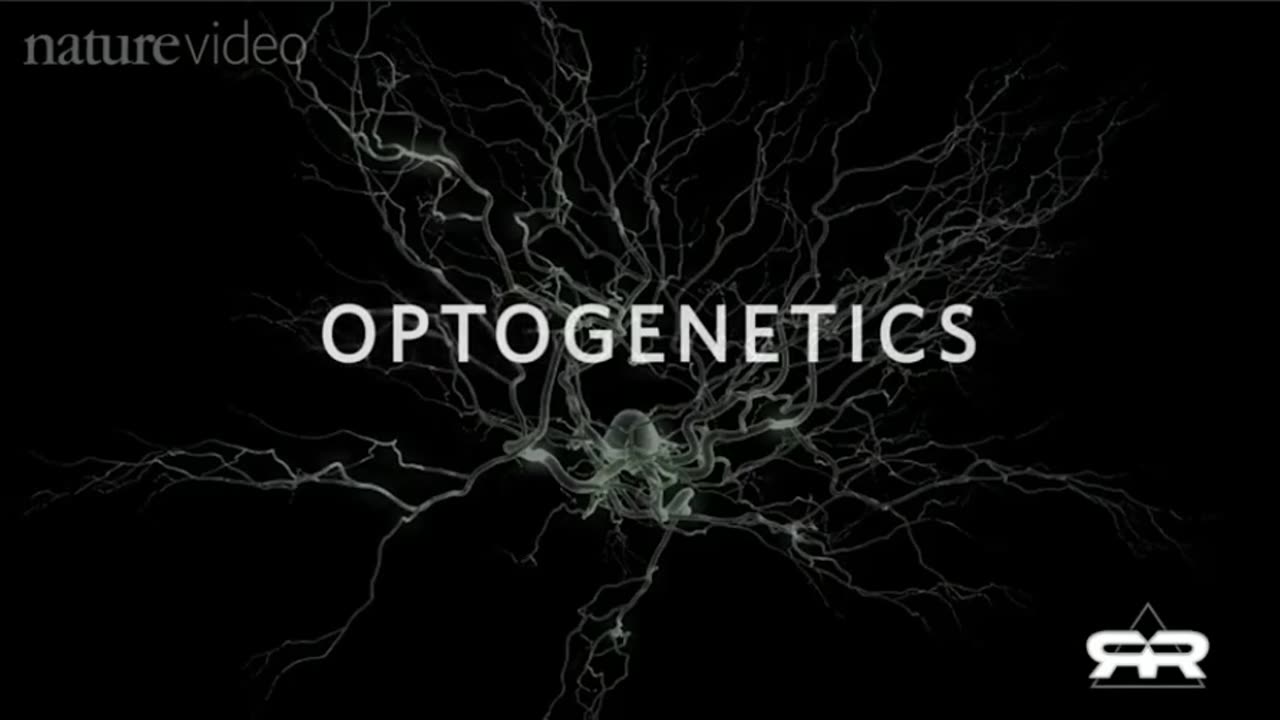 Optogenetics and the Secret Worldwide Nanotech Experiment