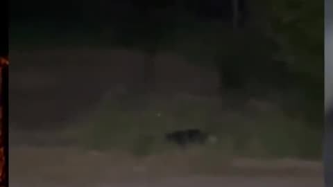 👻💥 The Windigo Legend Comes to Life: Terrifying Paranormal Activity! | TheHauntingHour