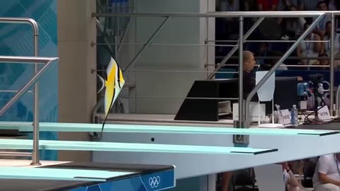 Which Fish Wins Gold | Animal Olympics
