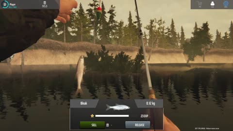 Doing some more fish-y stuff in an ACTUAL fish-y game