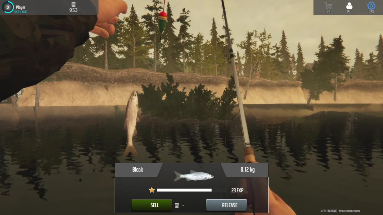 Doing some more fish-y stuff in an ACTUAL fish-y game