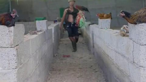 Breeder's fashion show
