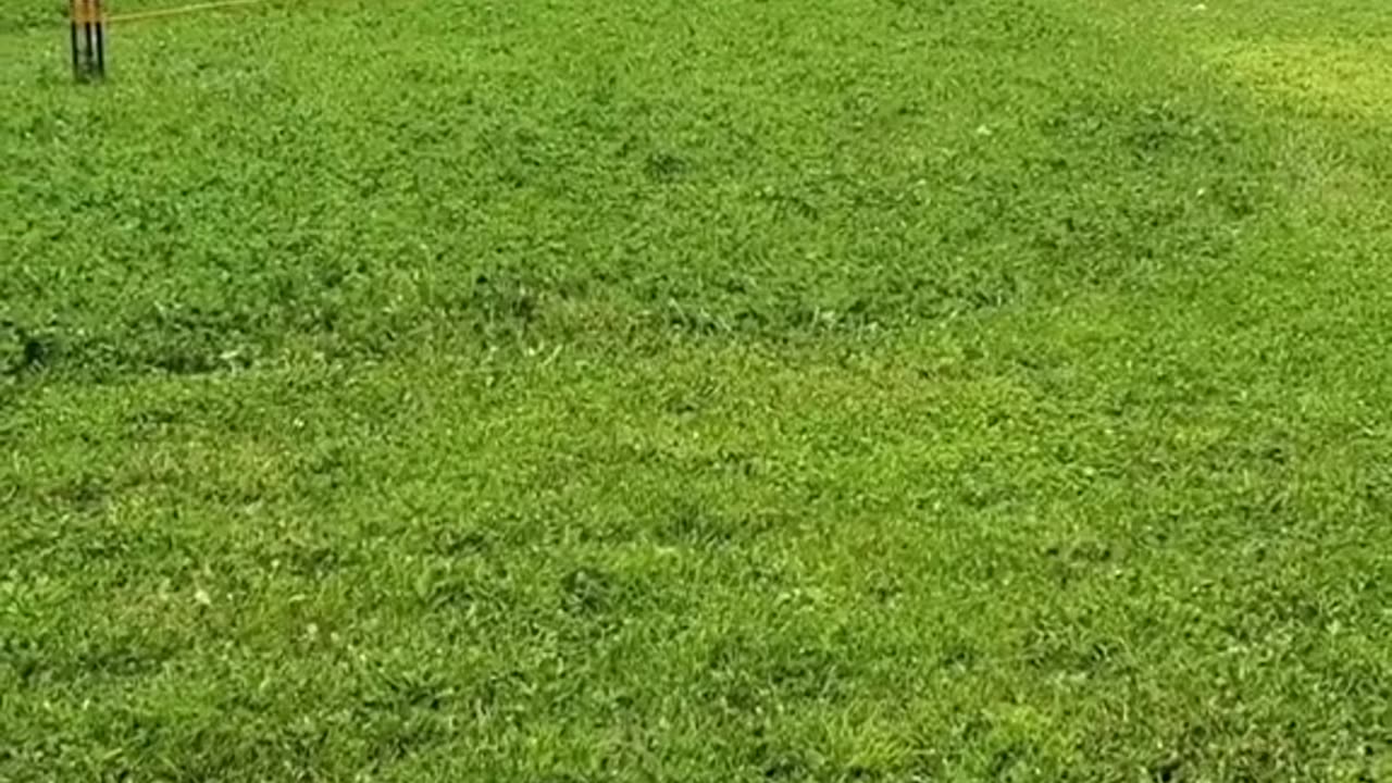Work Smarter Not Harder