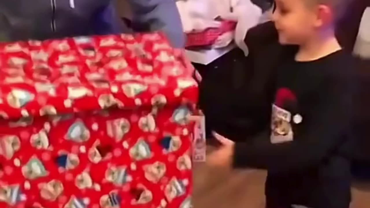 FUNNY ANIMAL COMPILATIONS - PART 42
