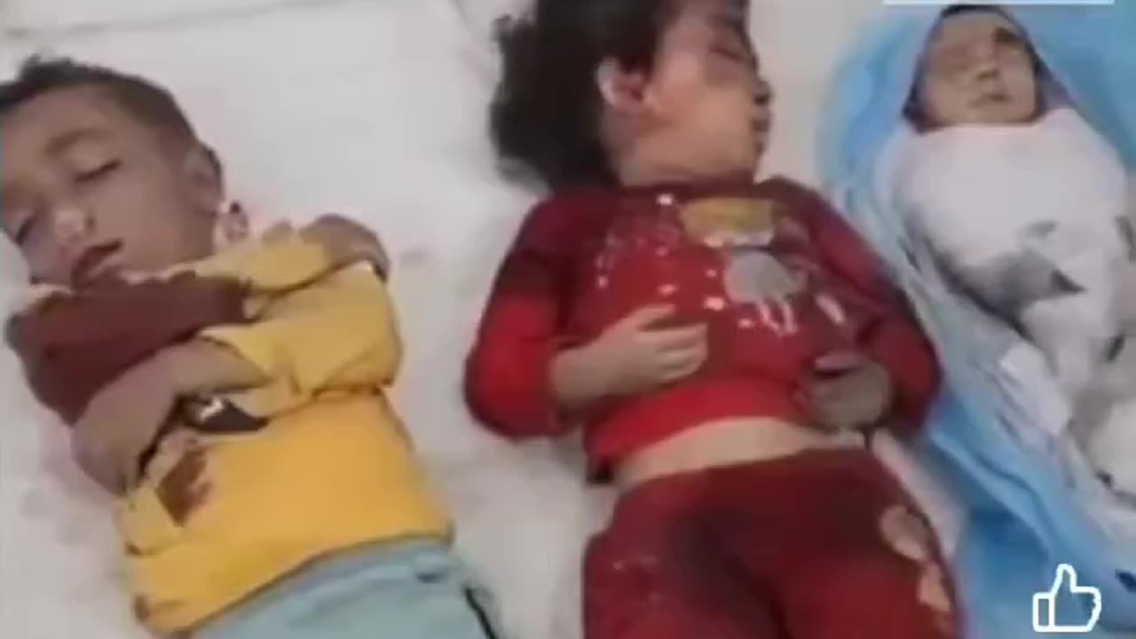 1 WHOLE YEAR OFGENOCIDE DOGS WOW THIS IS SHOCKING ALL BEHIND IS-RA-EL ARE MURDERERS