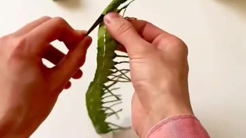 Diy new design