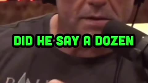 I know we have a big Elon_Trump beef going on right now