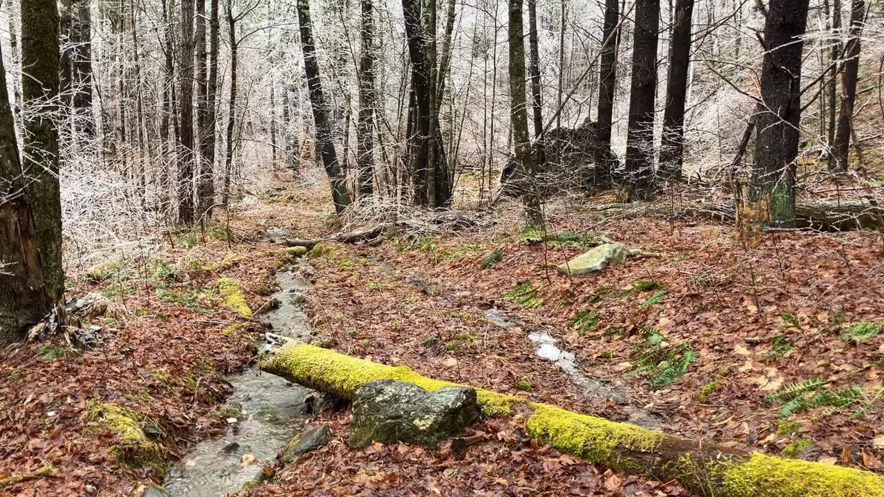 Water on the Mountain 🏔️