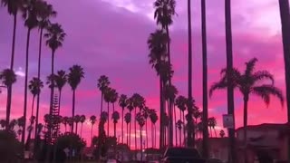 Los Angeles awaits you with a breathtaking sunset!