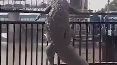 🤣🐊 When You Think You're a Great Climber, But You're Actually Just a Crocodile... | FunFM