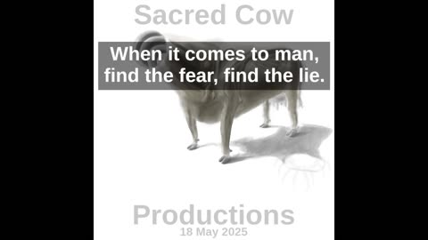 Fear and Lie