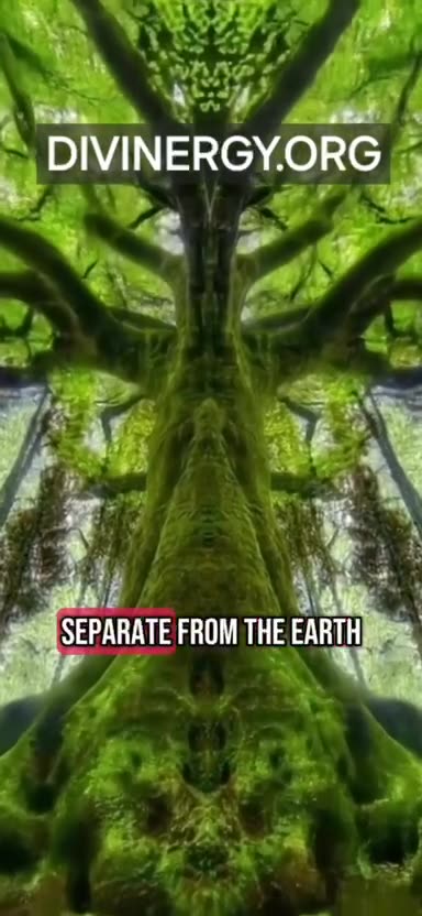 We are the Earth, what happens to her, happens to us