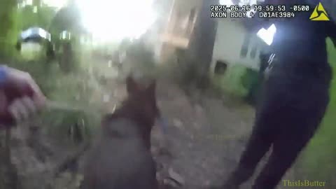 Slidell Police Department credits K9 for finding gun linked to domestic shooting