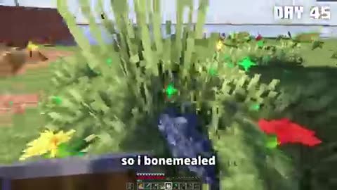 I_Survived_100_Days_on_a_Deserted_Island