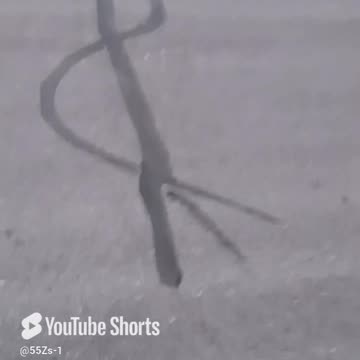 Treble Sign in THE STREET??