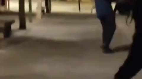 In Barcelona, ​​​​North Africans with machetes hunt Spaniards.