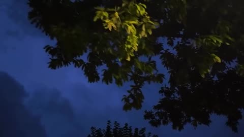 These nights exist and you're lonely feeling the nature 💚 Nature 4K videos 🌐