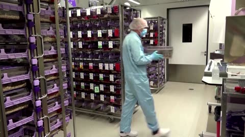 Check out the AI 'brain search engine' built on mouse brain maps