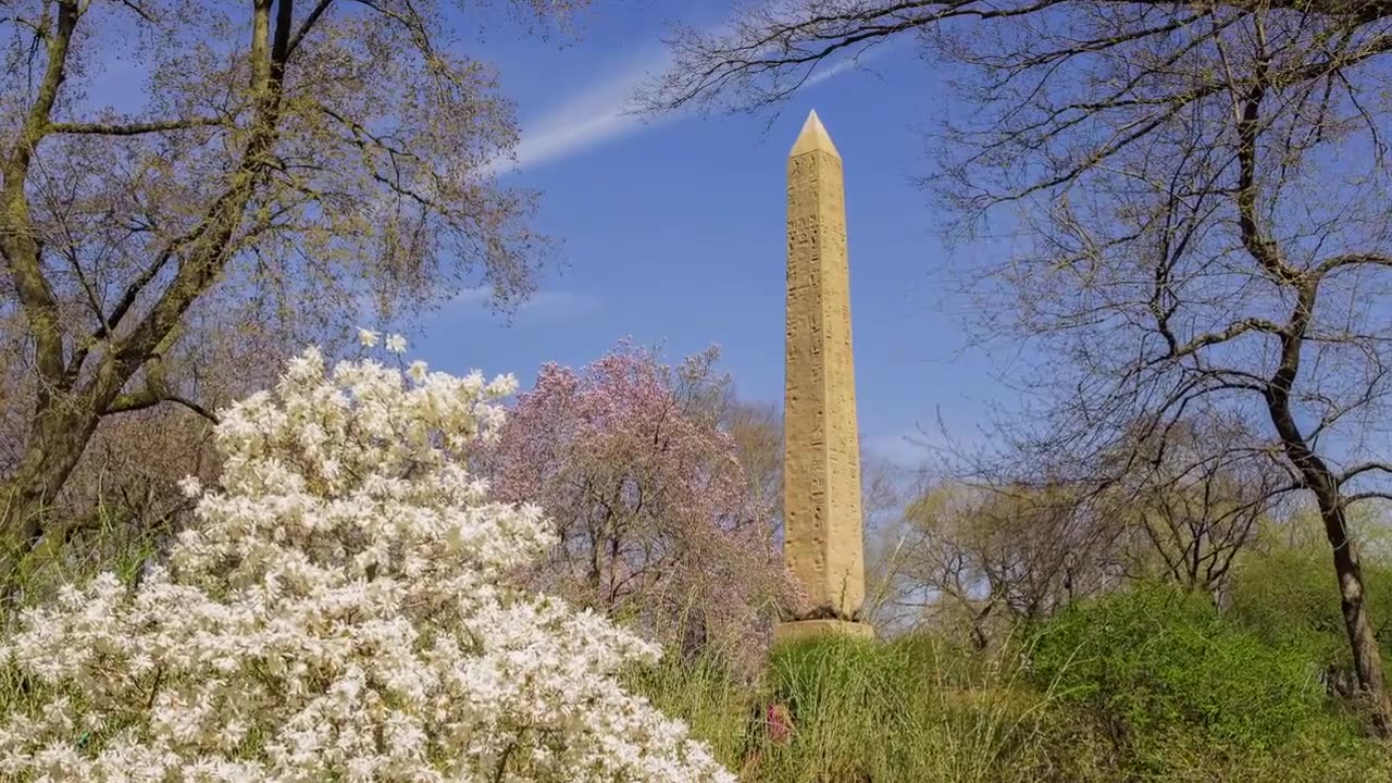 'Babylon USA' Documentary by Steven Anderson & Paul Wittenberger