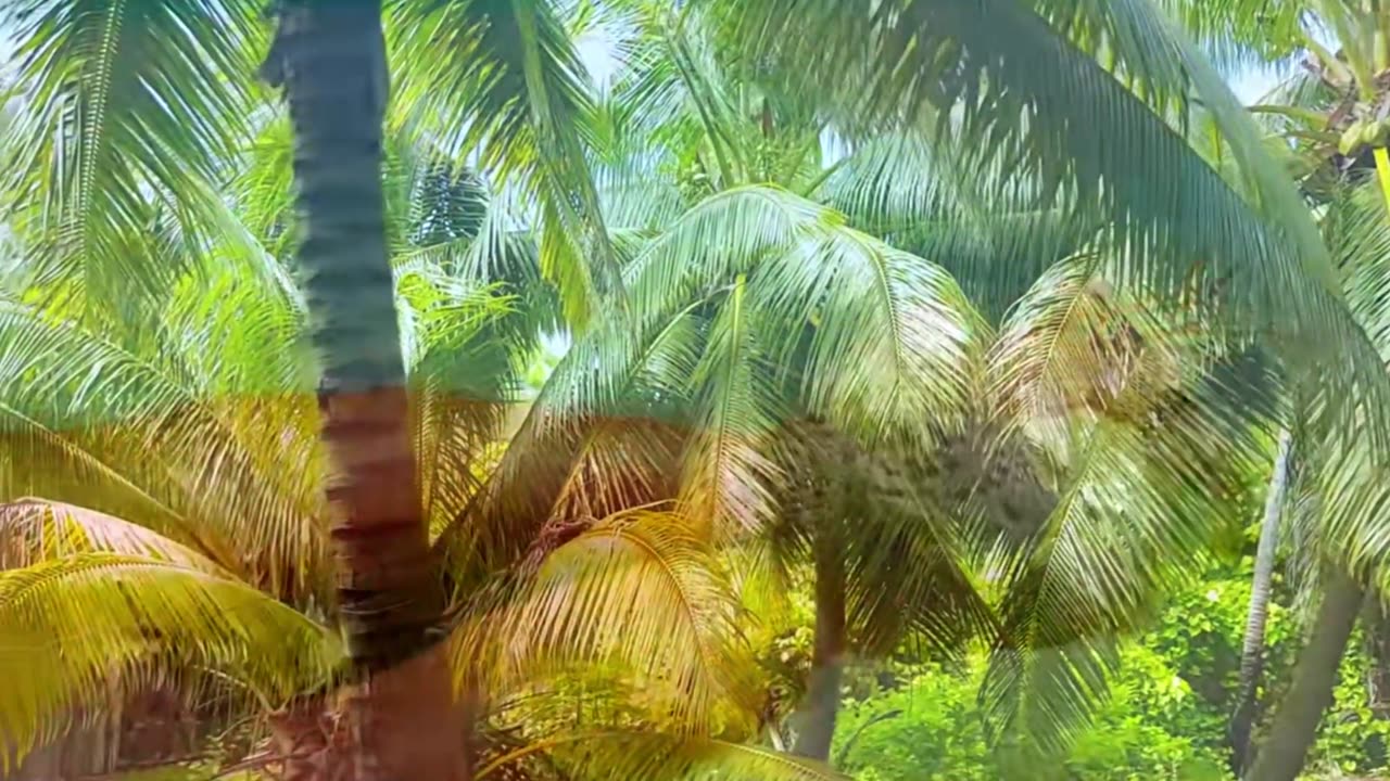 Deep Concentration Piano & Strings