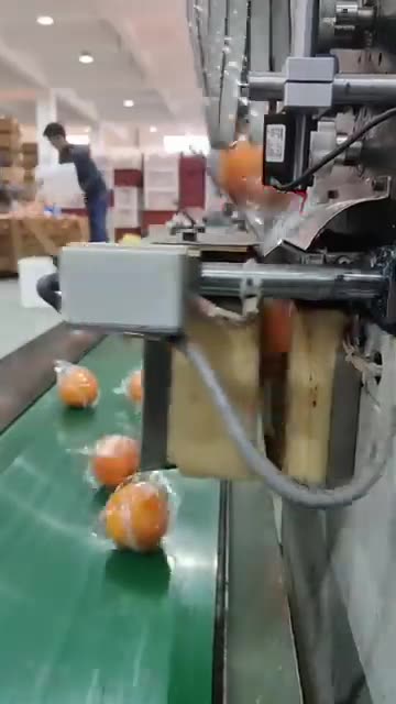 See How Oranges Are Effortlessly Wrapped #packagingindustry #packaging #manufacturing #autumation