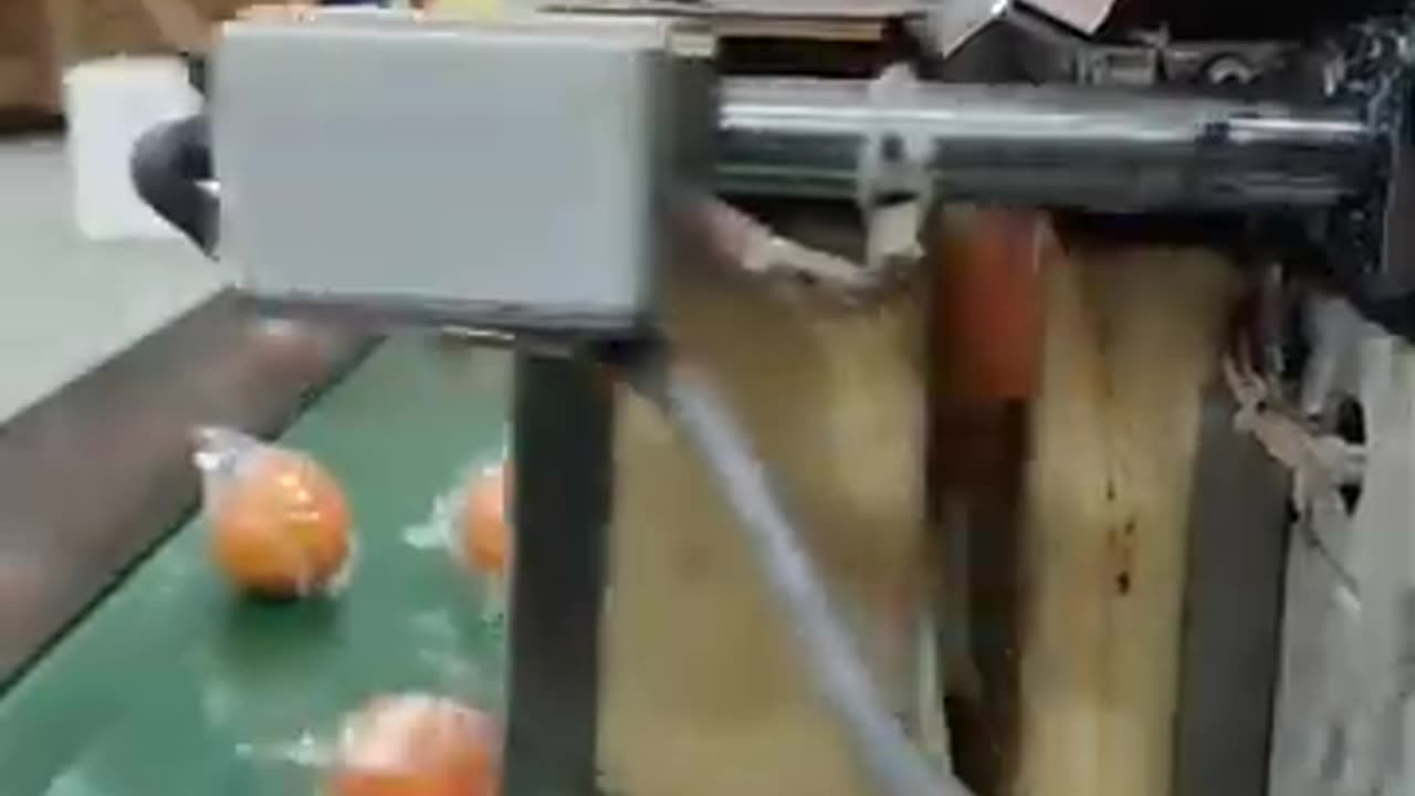 See How Oranges Are Effortlessly Wrapped #packagingindustry #packaging #manufacturing #autumation