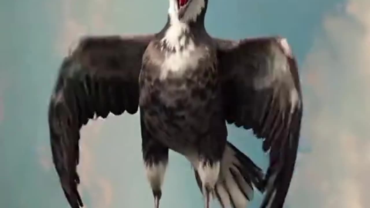 ¡La gaviota más tenebrosa! 💀