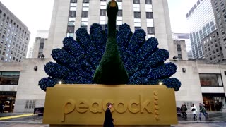 MSNBC will become MS NOW, lose peacock logo before Comcast spinoff